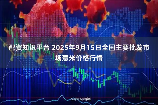 配资知识平台 2025年9月15日全国主要批发市场薏米价格行情