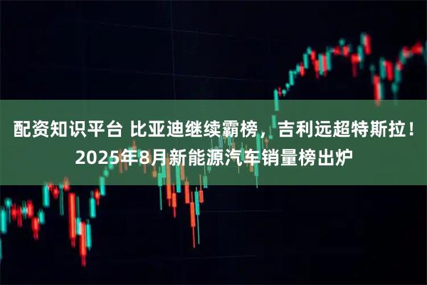 配资知识平台 比亚迪继续霸榜，吉利远超特斯拉！2025年8月新能源汽车销量榜出炉